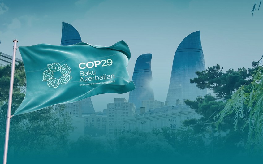 COP29 Azərbaycana qlobal mediaya açılmağa böyük şans yaradacaq - RƏY