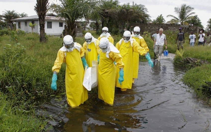 ВОЗ: число жертв вируса Эбола в Западной Африке приблизилось к 8 тысячам человек