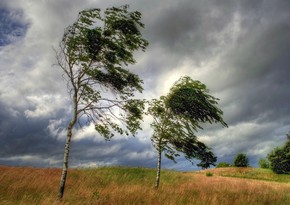 Azerbaijan weather forecast for June 20