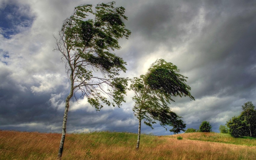 Azerbaijan weather forecast for June 20