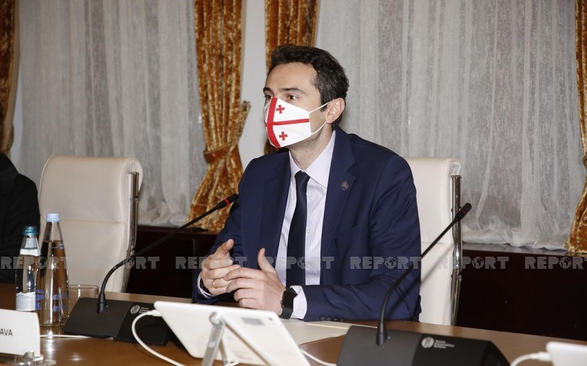 Georgian Parliament Speaker resigns