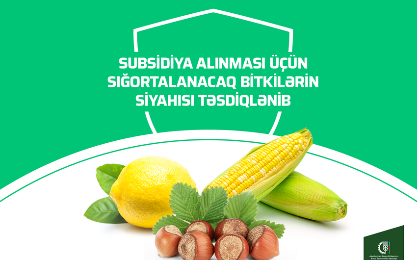 Subsidiya alınması üçün sığortalanacaq bitkilərin siyahısı təsdiqlənib