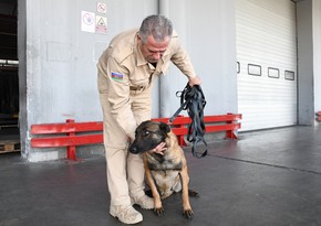 US gives 5 more mine detection dogs to Azerbaijan