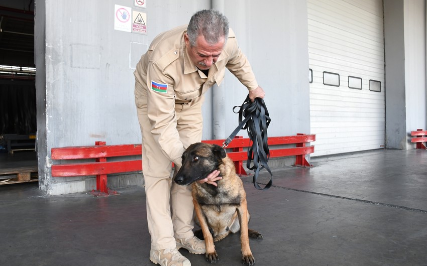 US gives 5 more mine detection dogs to Azerbaijan