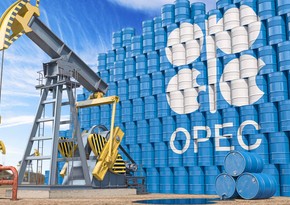 OPEC nazirlərinin iclası keçiriləcək 