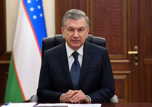  В Узбекистане создается Климатический совет при президенте страны