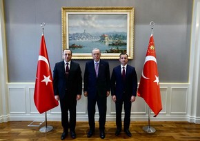 Erdogan receives Azerbaijani delegation