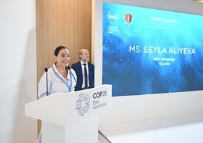 Leyla Əliyeva COP29 çərçivəsində dəniz canlılarına dair panel müzakirələrində iştirak edib