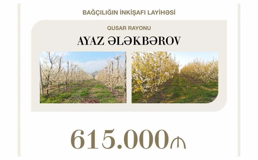 Qusarda bağçılığın inkişafına 615 min manat güzəştli kredit verilib
