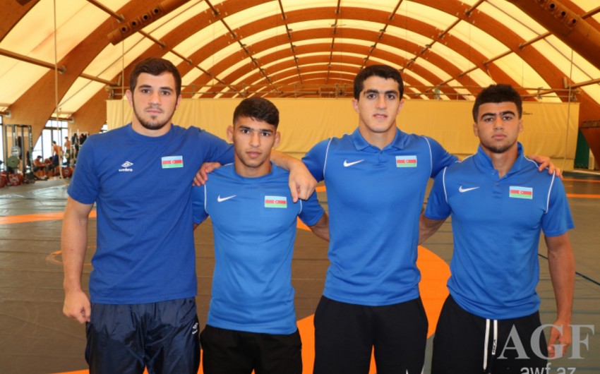 Чемпионат мира: Азербайджанские борцы вышли в полуфинал