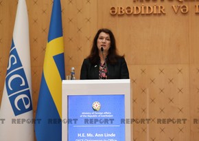 Ann Linde to remain FM in Sweden’s new government