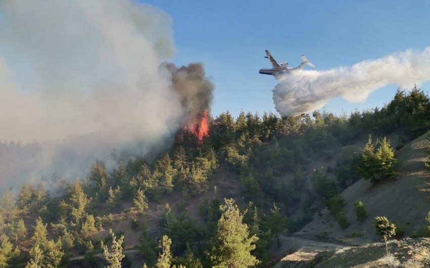 Wildfire in Zagatala prevented from spreading to larger areas