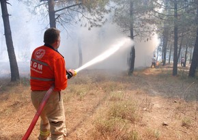 Number of active wildfires in Turkey drops to 5