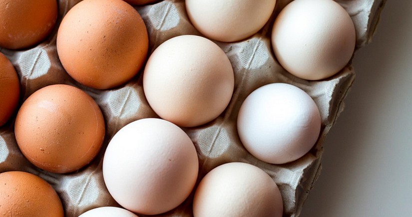 Казахстан ввел временный запрет на ввоз куриных яиц
