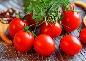 KOBIA: Азербайджан может увеличить экспорт помидоров в 2-3 раза