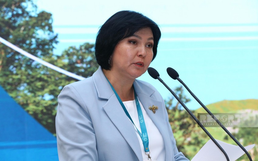 Kyrgyzstan committed to accelerating transition to climate-resilient dev’t models, says DM