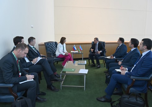 Глава МИД: Сотрудничество Словении и Азербайджана по разминированию должно быть расширено