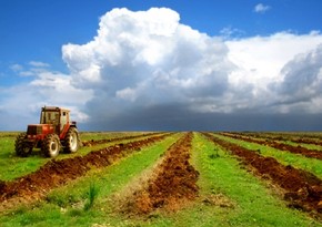 Three regions in Azerbaijan will be registered as Globally Important Agricultural Heritage System