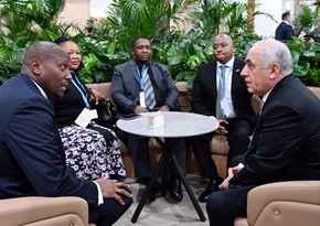 Azerbaijan and Eswatini PMs meet at COP29 climate summit