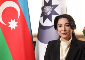 Сабина Алиева: Армения не предоставляет никакой информации о пропавших без вести лицах