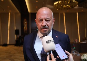 Замминистра: Азербайджан, Грузия и Турция не будут дублировать контроль при грузоперевозках