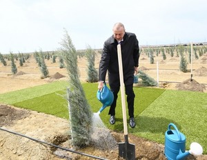 Президент Ильхам Алиев 