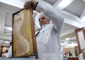 Honey Fair in Baku - PHOTO REPORT