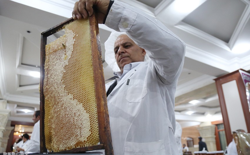 Honey Fair in Baku - PHOTO REPORT