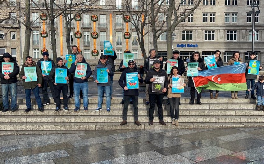 Azerbaijanis in Germany protest in support of environmental activists in Azerbaijan