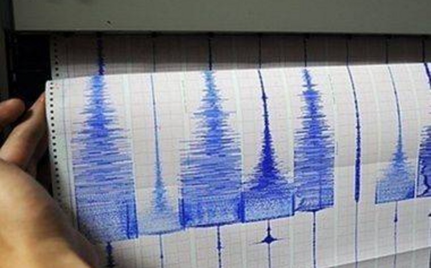 ​У берегов Новой Зеландии зафиксировано землетрясение магнитудой 6,3
