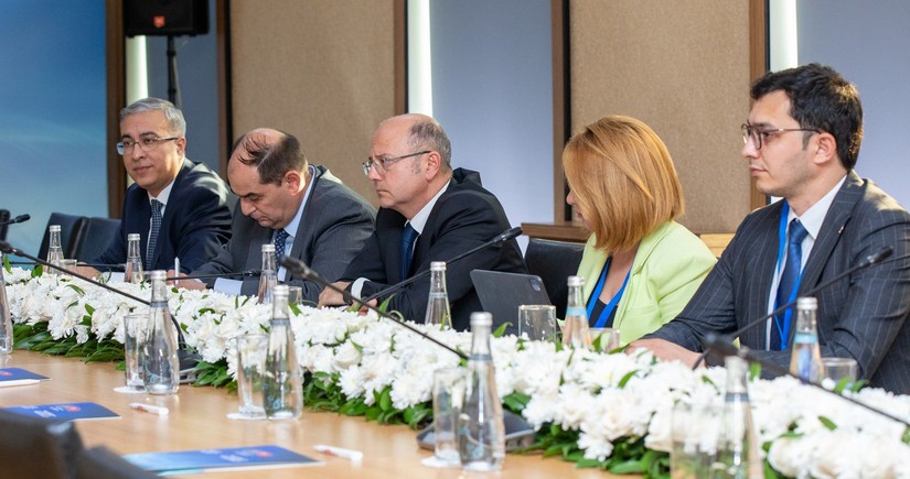 Azerbaijan, Baltech Energy discuss construction of electric power plants