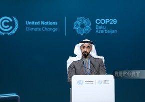 UAE official calls for urgent action against eco-crimes