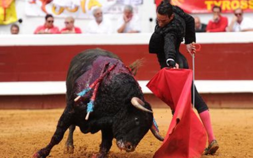 ​A bull kills a deputy in Spain