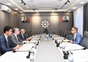 Azerbaijan, Sweden mull possible opportunities for cooperation in demining activities