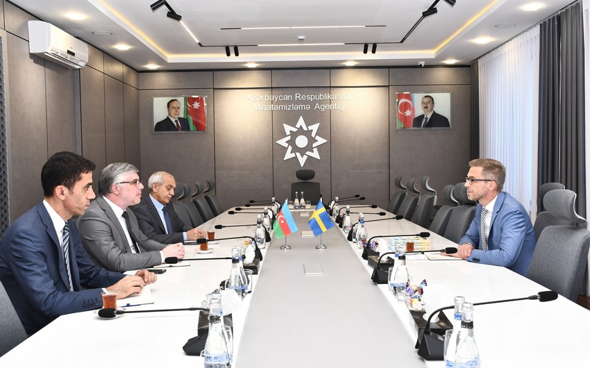 Azerbaijan, Sweden mull possible opportunities for cooperation in demining activities