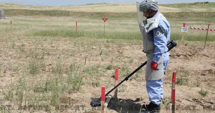 60,000 hectares in liberated areas to be cleared of mines next year