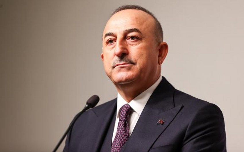 Cavusoglu: Power of Turkic-speaking states is in unity