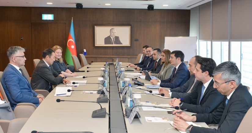 Азербайджан обсудил возможности партнерства с СВМДА в рамках COP29