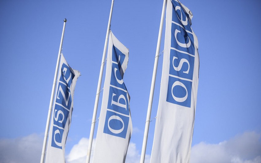OSCE concerned about lack of transparency in US election financing