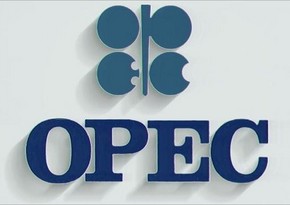 ОПЕК: В прошлом году Азербайджан увеличил экспорт газа более чем на 41%