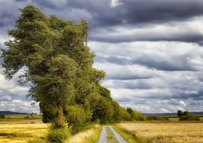 Порывы ветра в Баку достигли 22 м/с