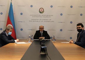 Министр энергетики Азербайджана встретился с исполнительным директором TAP