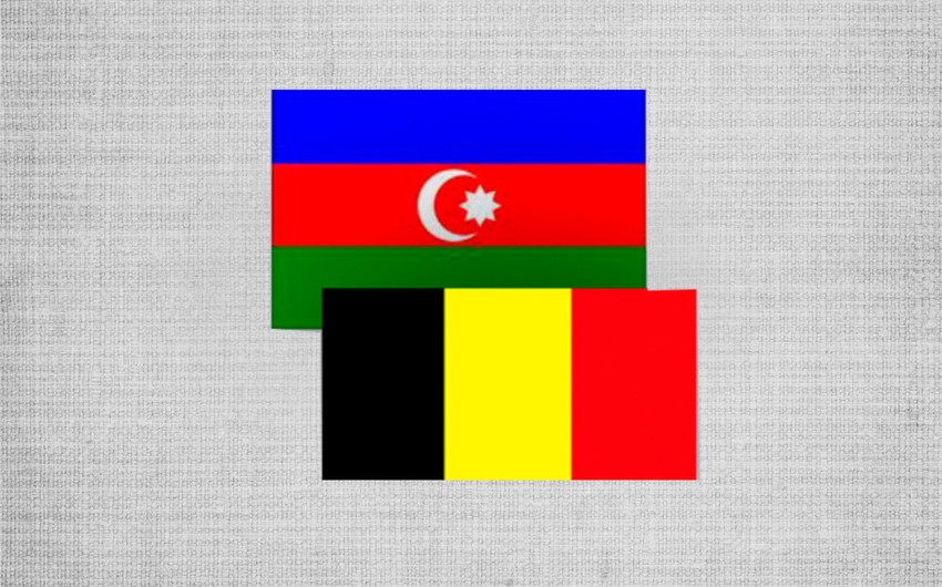 Глава МИД: Бельгия готова углублять свои отношения с Азербайджаном