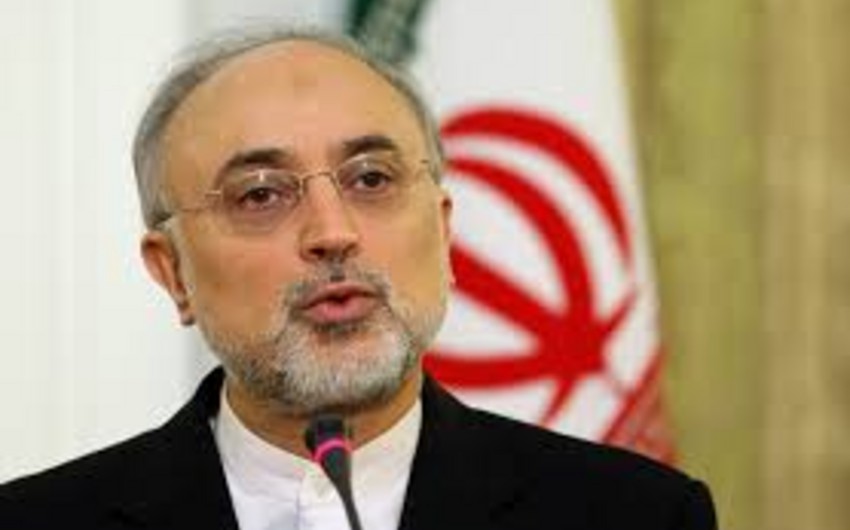 Салехи: Иран и шестерка подписали документ по реконструкции реактора в Араке