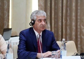 Azerbaijani deputy PM rules out possibility of extraordinary parliamentary elections