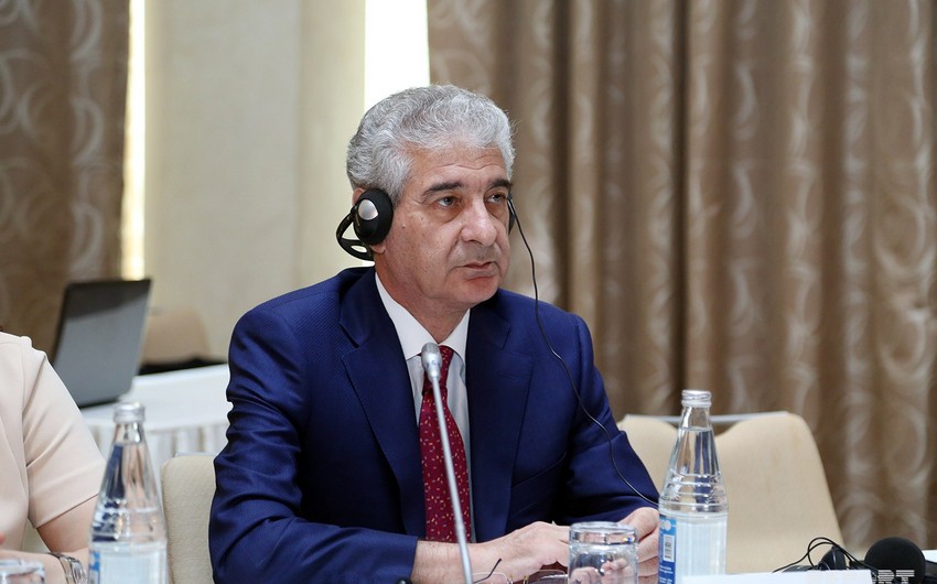 Azerbaijani deputy PM rules out possibility of extraordinary parliamentary elections
