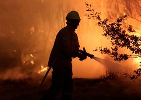 В столице Пакистана второй день подряд идет операция по тушению лесного пожара