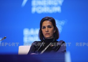 Кристина Борреро: Диверсификация энергетики способствует регулированию цен