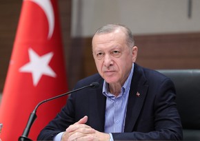 Эрдоган раскритиковал работу Европейского суда по правам человека