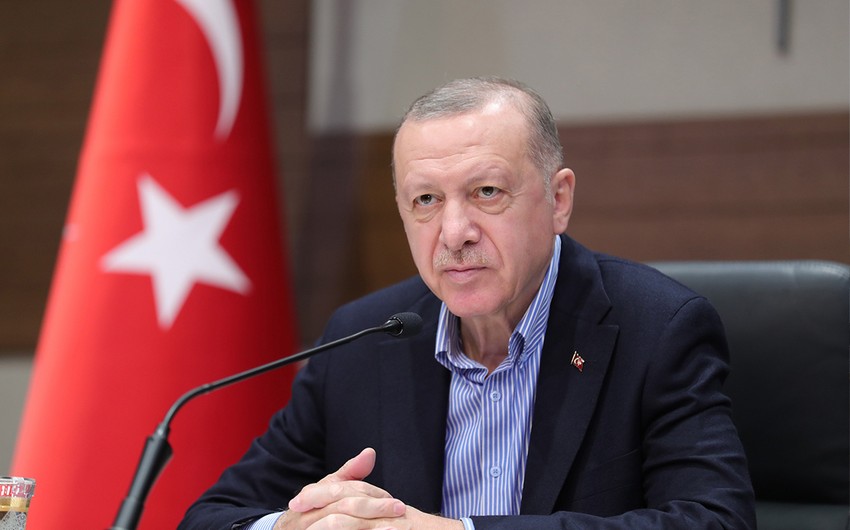 Эрдоган раскритиковал работу Европейского суда по правам человека